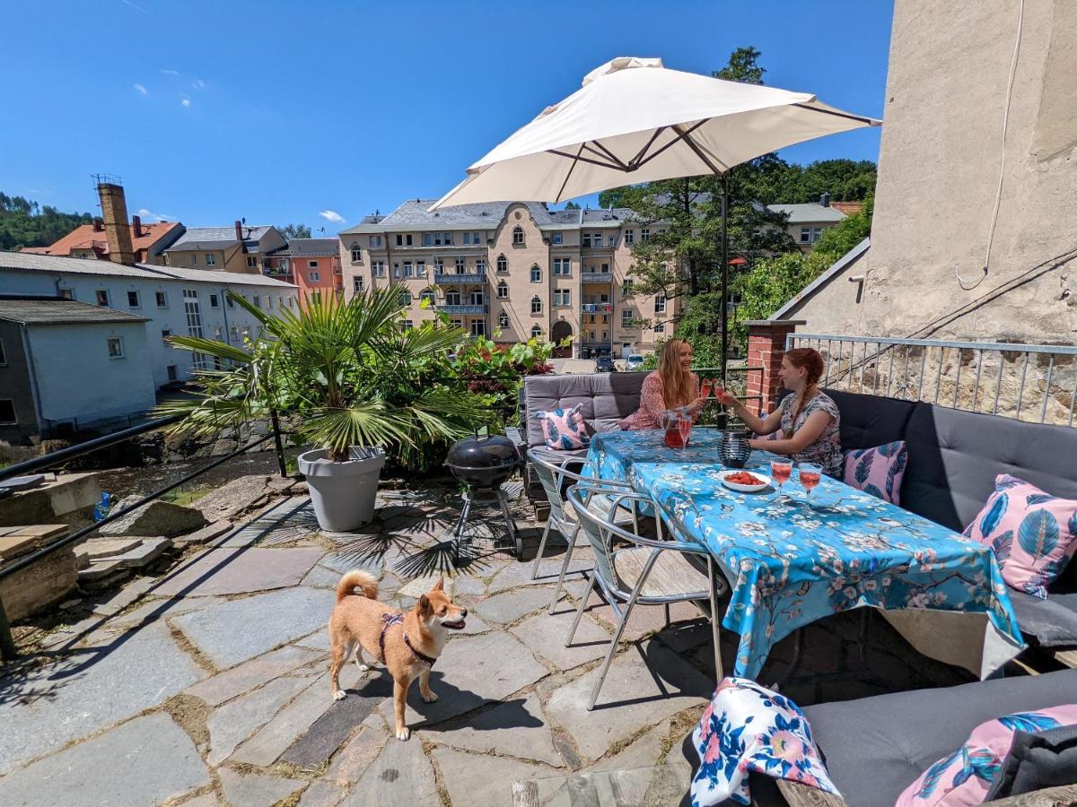 Lichtdurchflutete Helle Wohnung Mit Garten Sauna & Pool - Hw3 Sebnitz Buitenkant foto