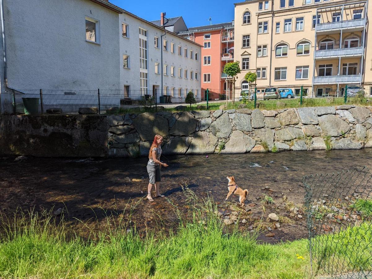 Lichtdurchflutete Helle Wohnung Mit Garten Sauna & Pool - Hw3 Sebnitz Buitenkant foto